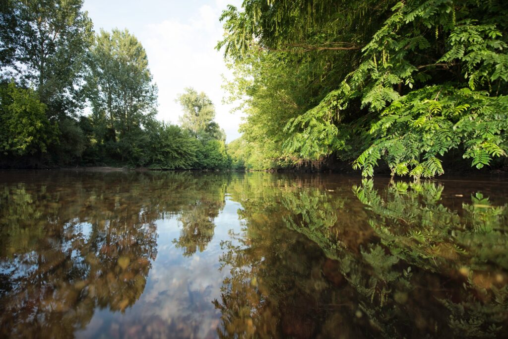 agroforestry riparian buffer