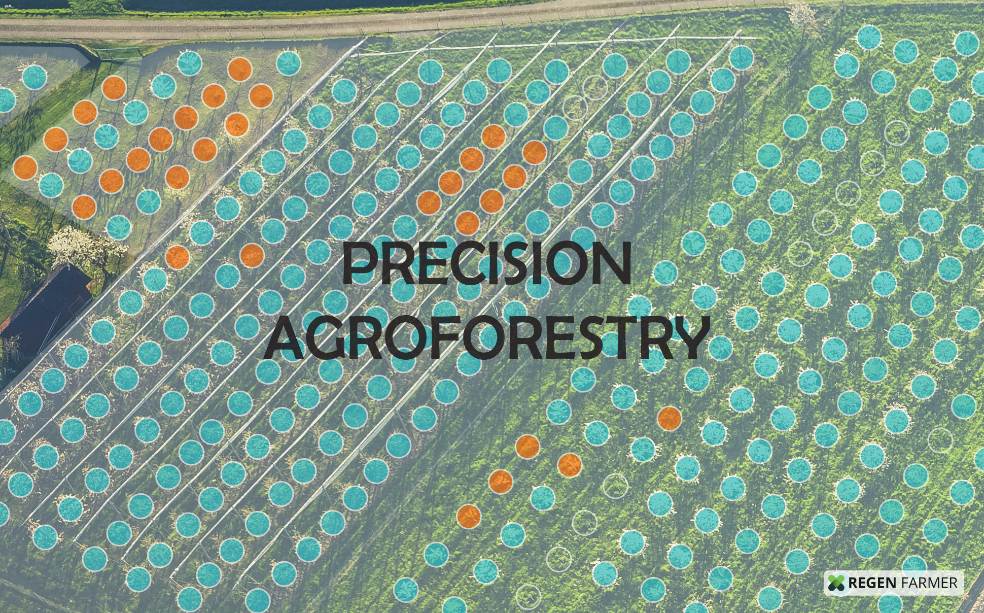Precision Agroforestry Digital Technology by Regen Farmer