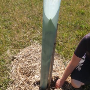 Vækstrør og pæl (Sæt)